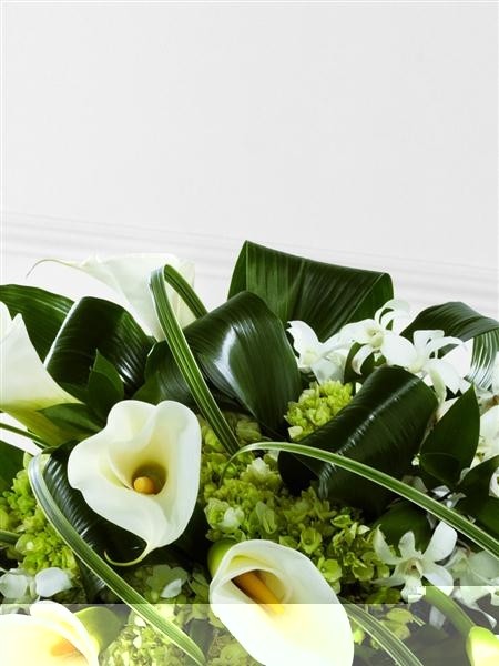 Calla Lily and Orchid Casket Spray