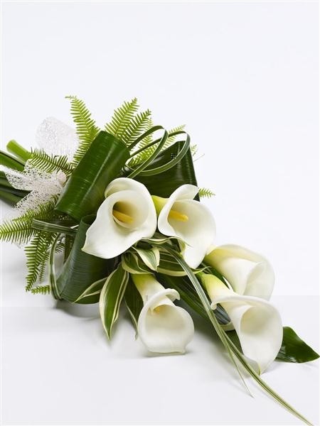 Calla Lily Sheaf white