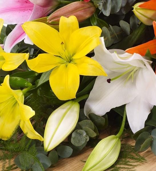 Lily Casket Spray   Mixed Colours