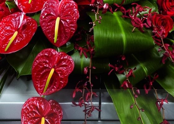 Rose, Orchid and Anthurium Casket Spray