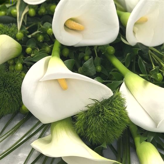 Serinity   Luxury White Calla's