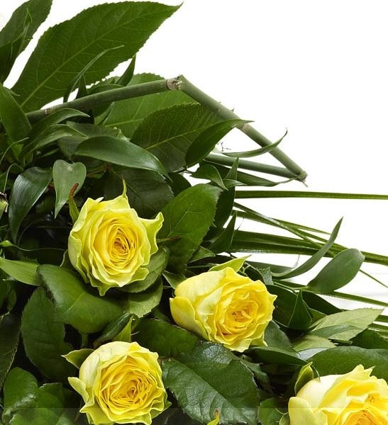 Simple Rose Sheaf Yellow