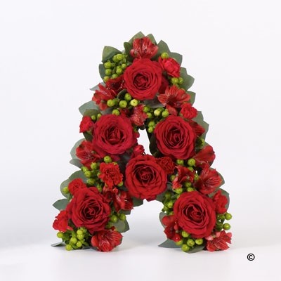 Tribute Letter   Red Roses