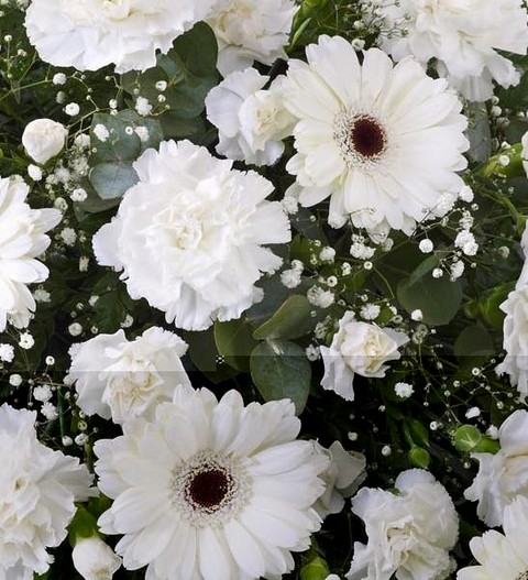 Carnation and Germini Spray White