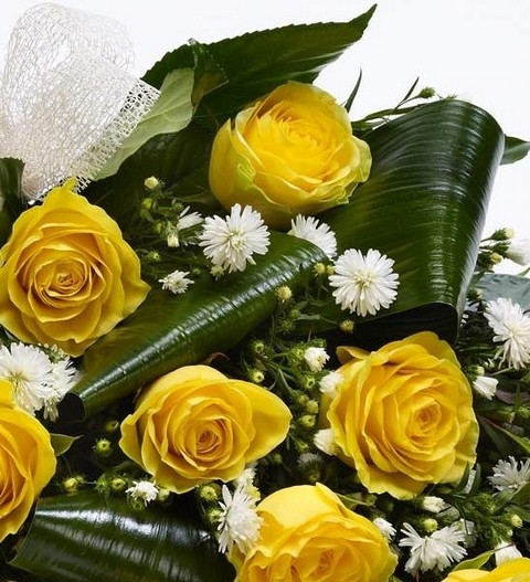 Classic Yellow Rose Sheaf