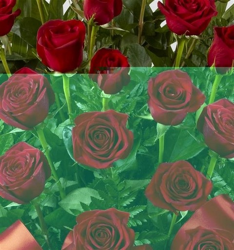 Large Red Rose Service Arrangement