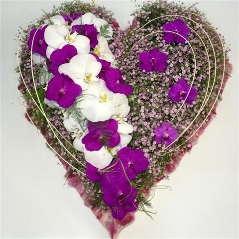 Orchid Heart