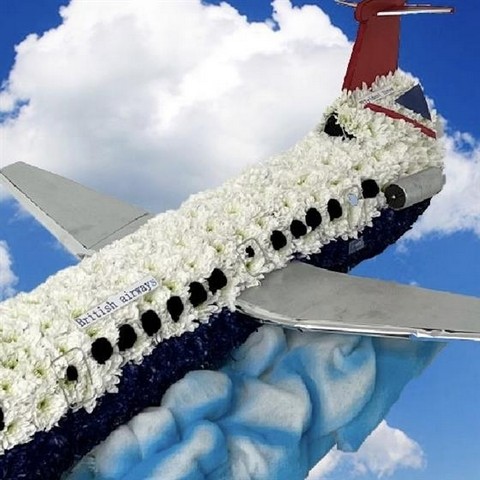 Plane Tribute