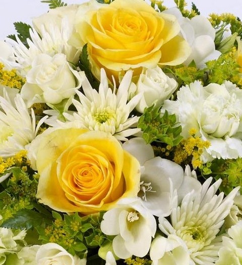 Rose and Freesia Posy   Yellow and White