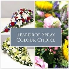 Teardrop Spray   Colour Choice